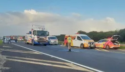 Eight killed, 16 injured in South Africa road crash